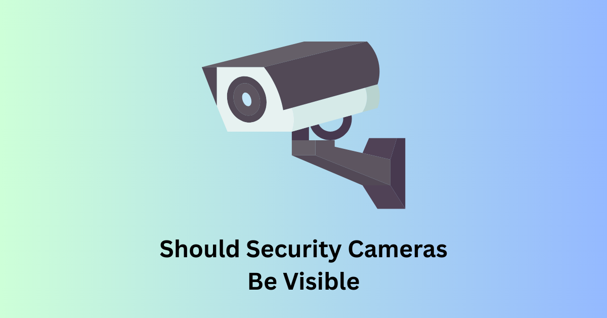Should Security Cameras Be Visible